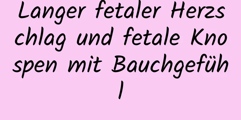 Langer fetaler Herzschlag und fetale Knospen mit Bauchgefühl