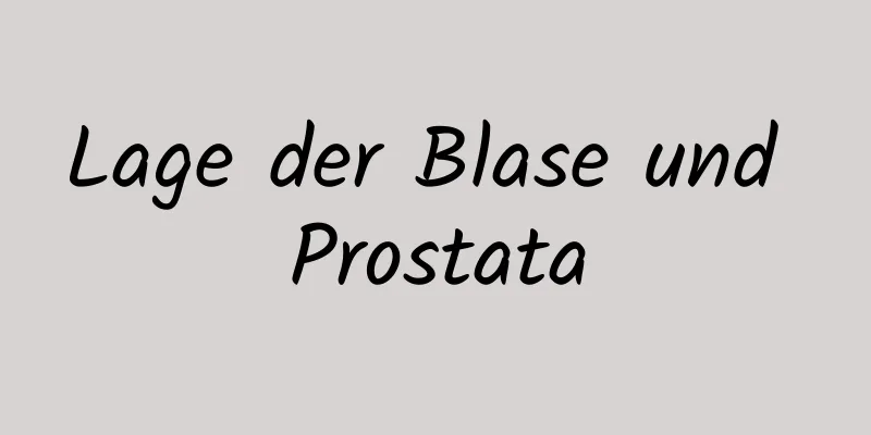 Lage der Blase und Prostata