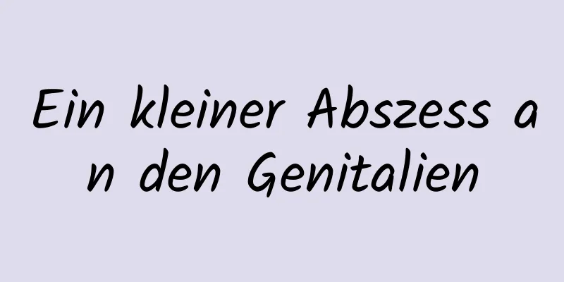 Ein kleiner Abszess an den Genitalien