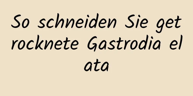 So schneiden Sie getrocknete Gastrodia elata