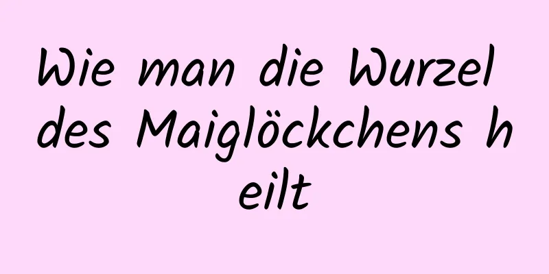 Wie man die Wurzel des Maiglöckchens heilt