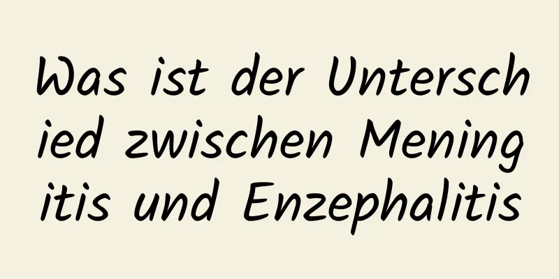 Was ist der Unterschied zwischen Meningitis und Enzephalitis