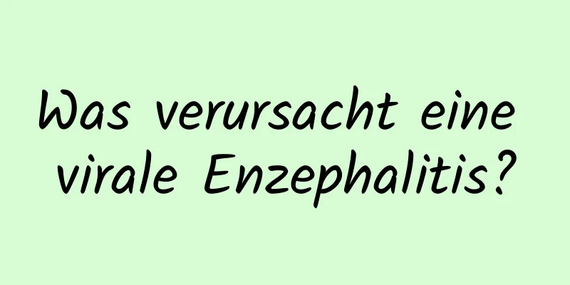 Was verursacht eine virale Enzephalitis?