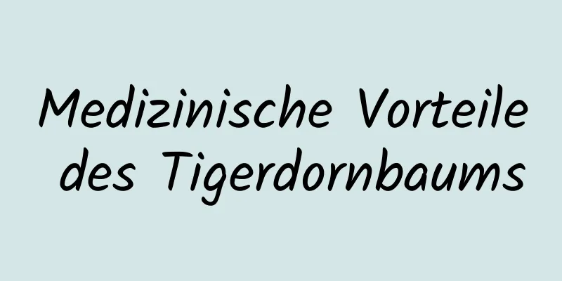 Medizinische Vorteile des Tigerdornbaums