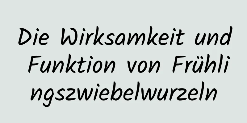 Die Wirksamkeit und Funktion von Frühlingszwiebelwurzeln