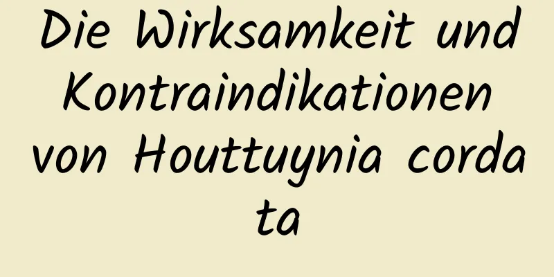 Die Wirksamkeit und Kontraindikationen von Houttuynia cordata