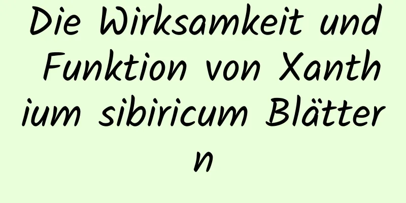 Die Wirksamkeit und Funktion von Xanthium sibiricum Blättern