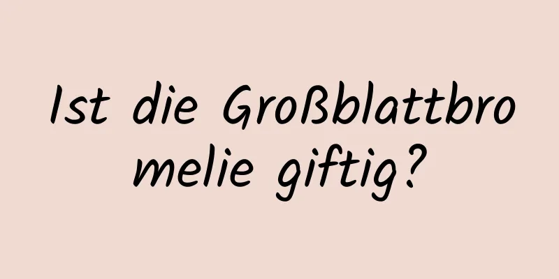 Ist die Großblattbromelie giftig?