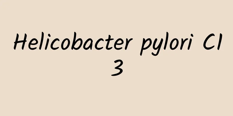 Helicobacter pylori C13