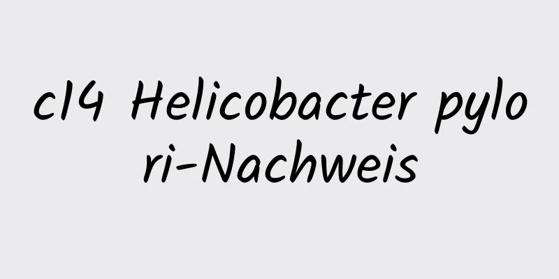 c14 Helicobacter pylori-Nachweis