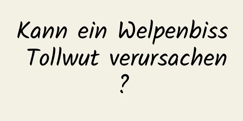 Kann ein Welpenbiss Tollwut verursachen?