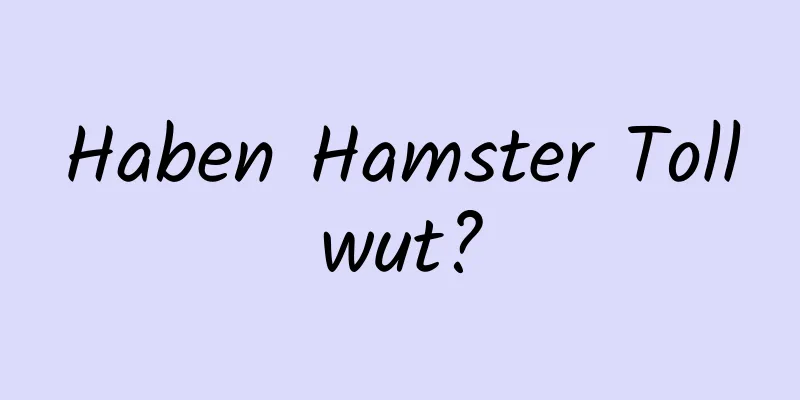 Haben Hamster Tollwut?