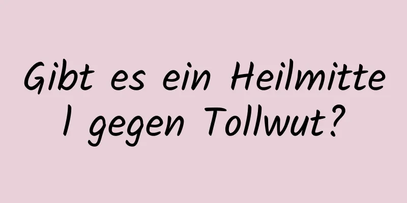 Gibt es ein Heilmittel gegen Tollwut?