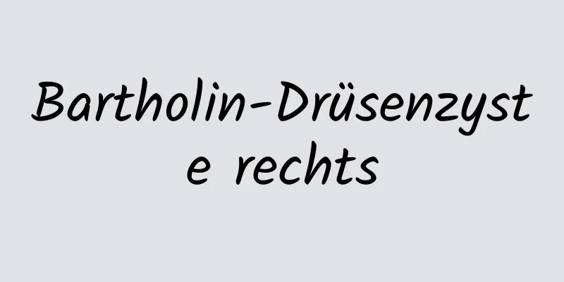 Bartholin-Drüsenzyste rechts