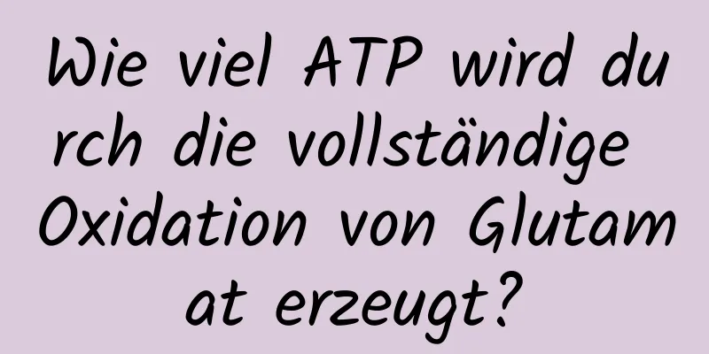 Wie viel ATP wird durch die vollständige Oxidation von Glutamat erzeugt?