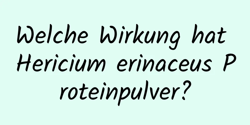 Welche Wirkung hat Hericium erinaceus Proteinpulver?