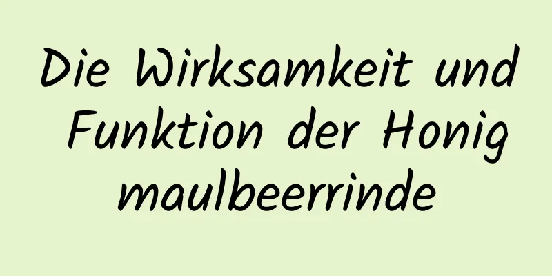 Die Wirksamkeit und Funktion der Honigmaulbeerrinde