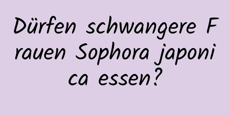 Dürfen schwangere Frauen Sophora japonica essen?