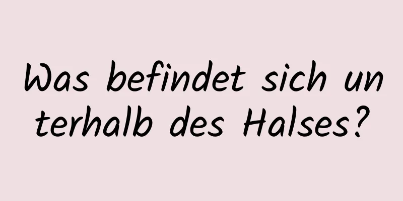 Was befindet sich unterhalb des Halses?