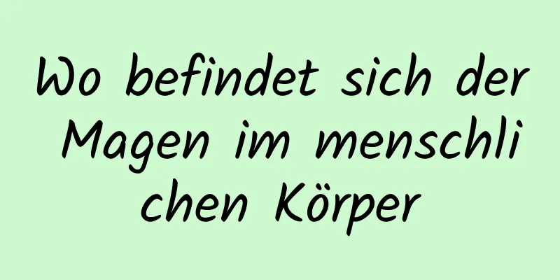 Wo befindet sich der Magen im menschlichen Körper