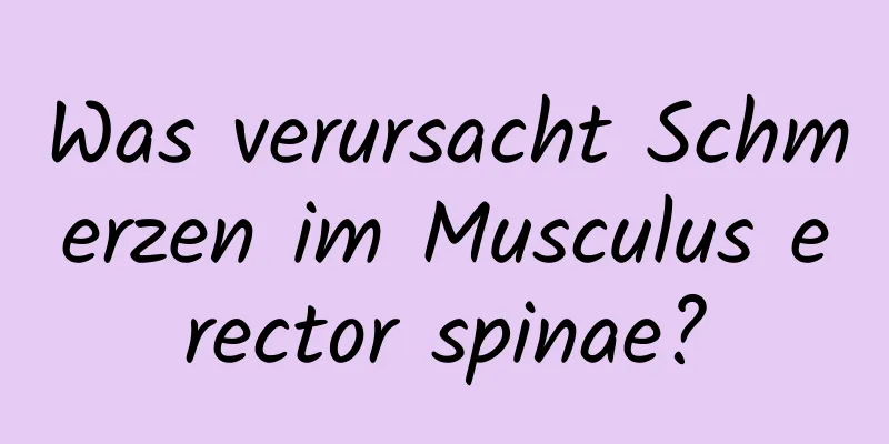 Was verursacht Schmerzen im Musculus erector spinae?