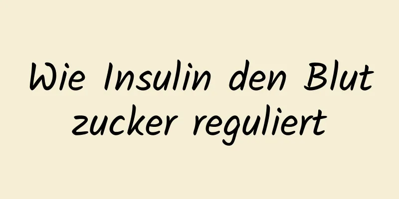 Wie Insulin den Blutzucker reguliert