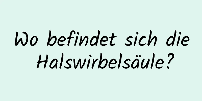 Wo befindet sich die Halswirbelsäule?