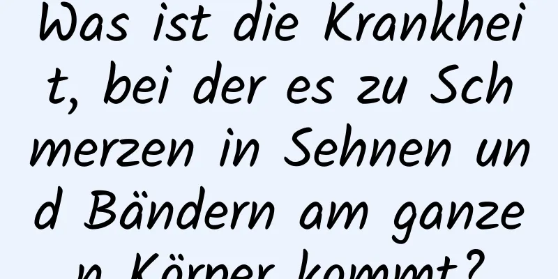 Was ist die Krankheit, bei der es zu Schmerzen in Sehnen und Bändern am ganzen Körper kommt?