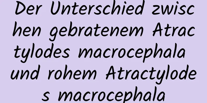 Der Unterschied zwischen gebratenem Atractylodes macrocephala und rohem Atractylodes macrocephala