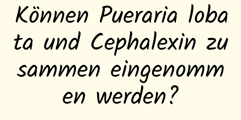 Können Pueraria lobata und Cephalexin zusammen eingenommen werden?