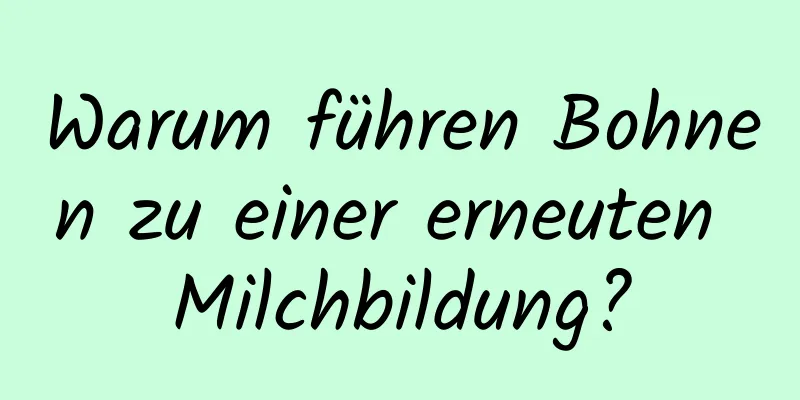 Warum führen Bohnen zu einer erneuten Milchbildung?