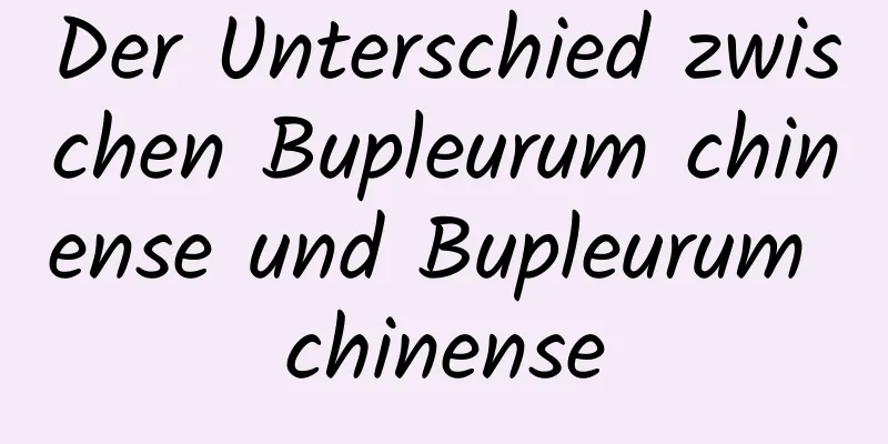 Der Unterschied zwischen Bupleurum chinense und Bupleurum chinense