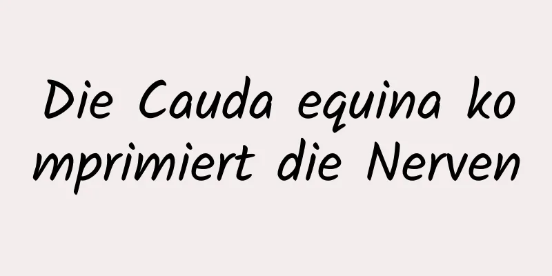 Die Cauda equina komprimiert die Nerven