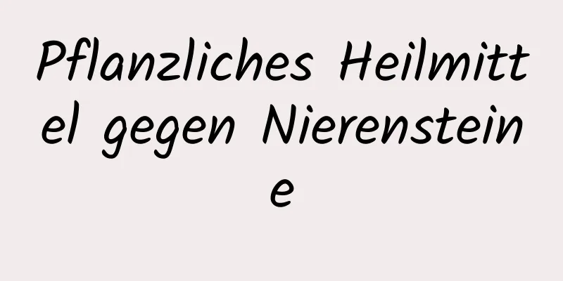 Pflanzliches Heilmittel gegen Nierensteine