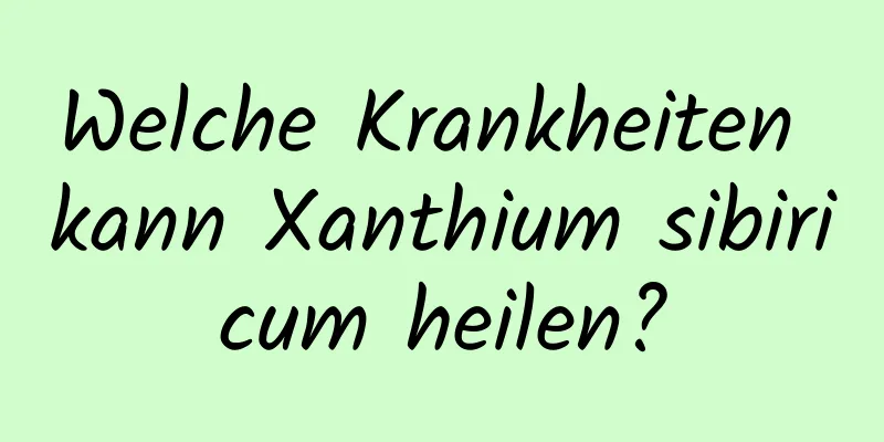 Welche Krankheiten kann Xanthium sibiricum heilen?