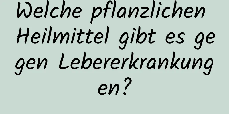 Welche pflanzlichen Heilmittel gibt es gegen Lebererkrankungen?