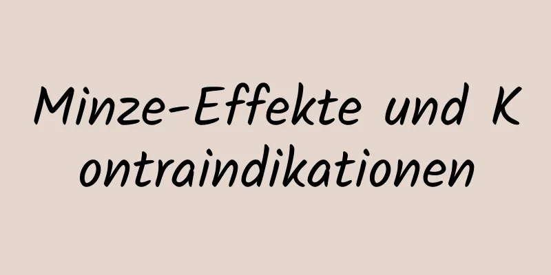 Minze-Effekte und Kontraindikationen