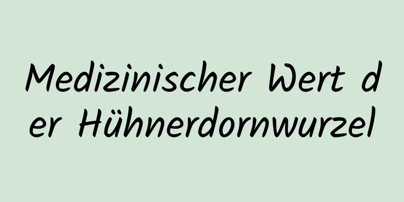 Medizinischer Wert der Hühnerdornwurzel