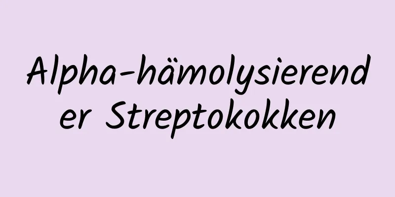 Alpha-hämolysierender Streptokokken