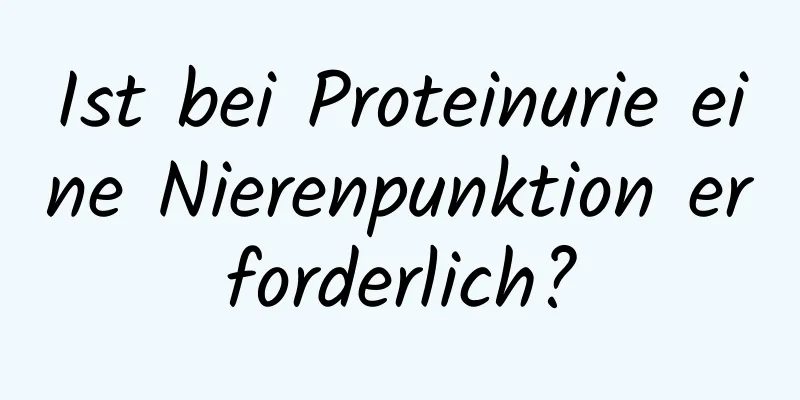 Ist bei Proteinurie eine Nierenpunktion erforderlich?