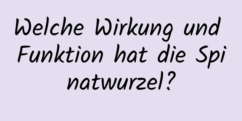 Welche Wirkung und Funktion hat die Spinatwurzel?