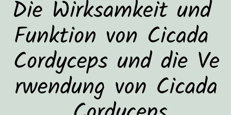 Die Wirksamkeit und Funktion von Cicada Cordyceps und die Verwendung von Cicada Cordyceps