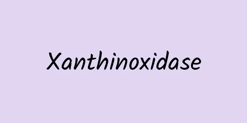 Xanthinoxidase