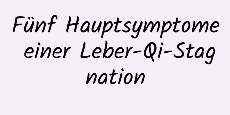 Fünf Hauptsymptome einer Leber-Qi-Stagnation