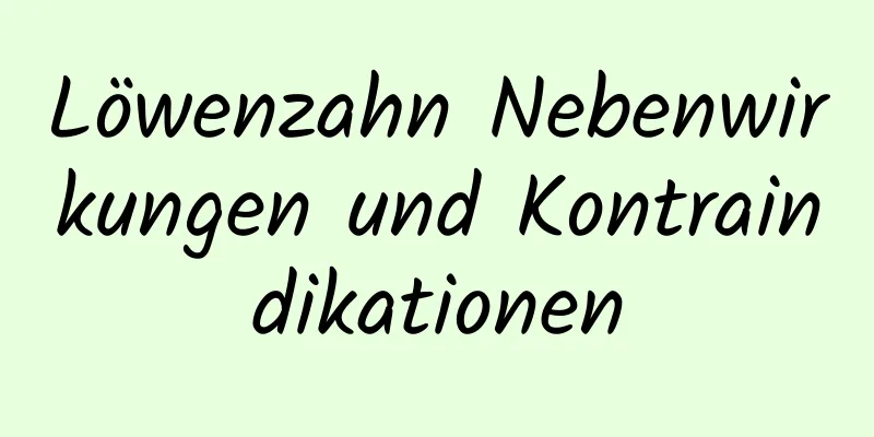 Löwenzahn Nebenwirkungen und Kontraindikationen