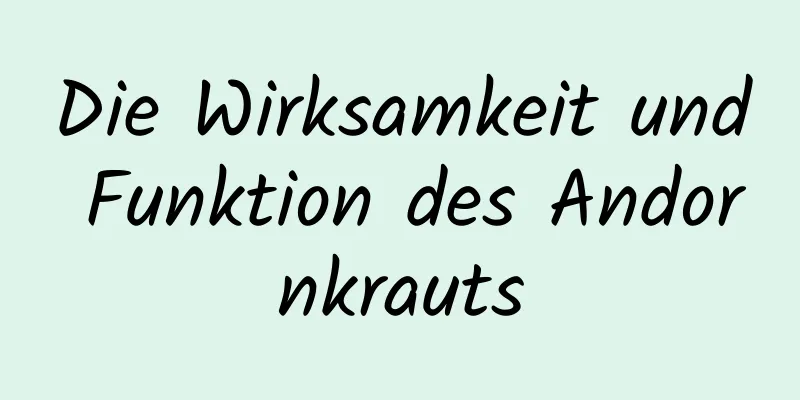 Die Wirksamkeit und Funktion des Andornkrauts