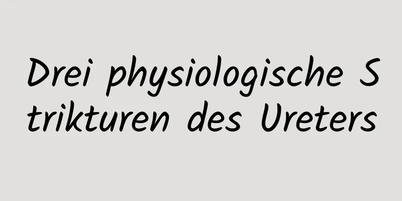 Drei physiologische Strikturen des Ureters