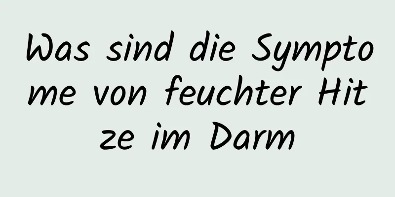 Was sind die Symptome von feuchter Hitze im Darm