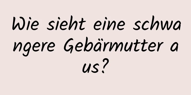 Wie sieht eine schwangere Gebärmutter aus?