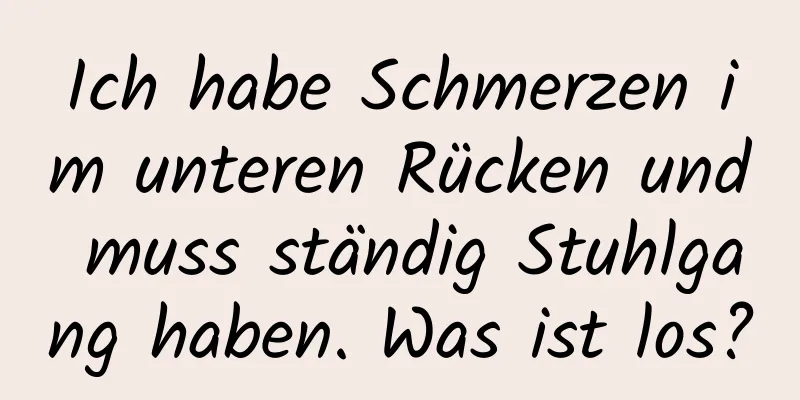 Ich habe Schmerzen im unteren Rücken und muss ständig Stuhlgang haben. Was ist los?